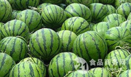 最新吃瓜爆料河北邢台,揭秘背后惊人真相